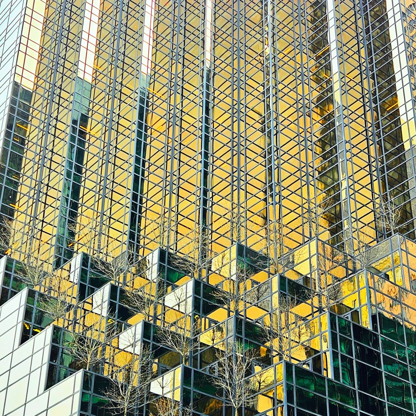 Modern commercial glass facade